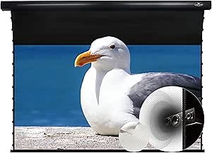 VIVIDSTORM-Projector Screen Sound Transparent Perforated White Cinema PVC,Blacking Housing Ceiling/Wall Mount Screen,Compatible with Standard Throw,VBMSLPW92H