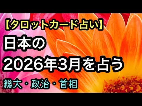 [Tarot Fortune Telling] Predicting Japan's March 2026 [National University, Politics, Prime Minis...
