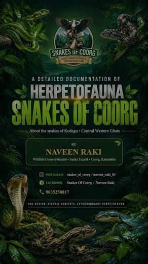 A Detailed Documentation Of Herpetofauna ⚡️#snakesofcoorg About the snakes of Kodagu By Naveen Raki