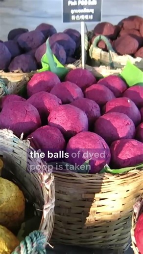 They turned elephant poop into something genius