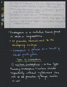 What is endosperm? Describe different types of endosperm with l... | Filo