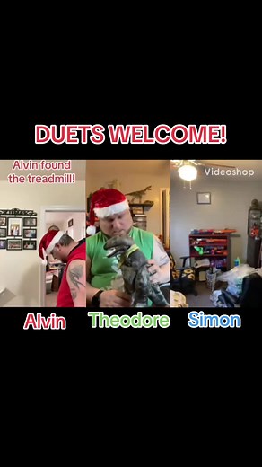#alvinandthechipmunks #christmas #chipmunkschristmas #alvinsimontheodore #alvin #simon #theodore