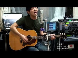 古澤剛 Gibson 1966 J-50 Blue Eyes Blue ギブソン J50 エリック クラプトン
