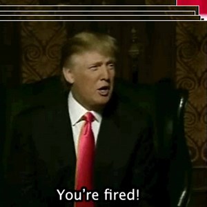 563K views · 921 reactions | Get away from the noise of your newsfeed with BBC News. | BBC News | Facebook