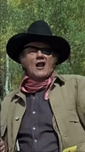True Grit (1969) - “Fill your hand!”