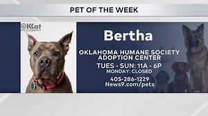Pet of the Week: Bertha