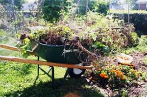 Preparing Your Garden for Fall