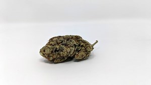 Alien Cream Cake Strain Review