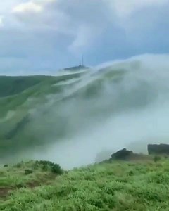 144 reactions | Close to the nature's face" Sound on • (DM for...