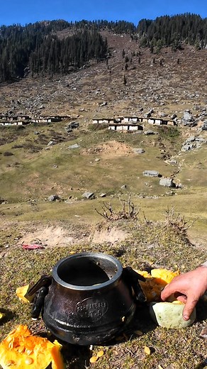 Cooking Beautiful Pumpkin 🎃 😋 in pressure Cooker very tasty and delicious in Mountain meadows. | The Mountain's Boy