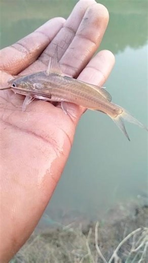 Khubsurat Talab ki tengara 💀