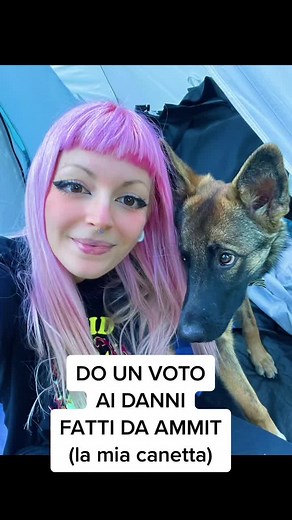 StregaSalamander su TikTok