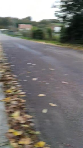 21 reactions | Suite 2 du 3 novembre | Les aventures de MODJO | Facebook