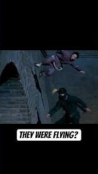 Crouching Tiger Hidden Dragon is so good #anglee #bestfightscene #crouchingtigerhiddendragon
