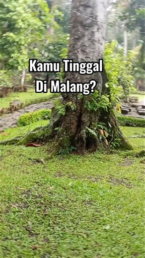 kegiatan "Meditasi & Edukasi Untuk Pemurnian Diri" GRATIS info : 081298098900 #malangjawatimur