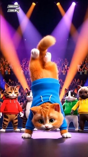 😺 Funny Cat Breakdancing on Stage!