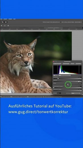 Affinity Photo: Histogramm und Tonwertkorrektur in der Pixel Persona von Affinity Studio