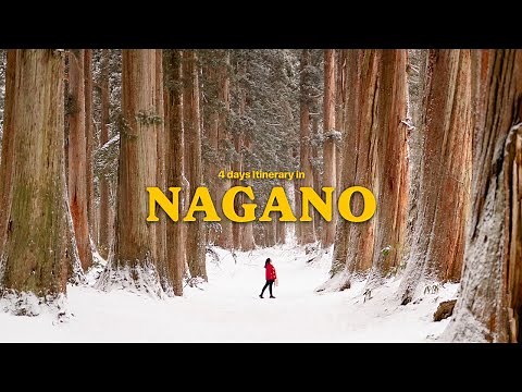 winter trip to nagano travel guide to matsumoto, narai-juku, togakushi shrine 🇯🇵