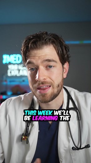 Learn Bedside Echo Basics: Phased Array Probe Type