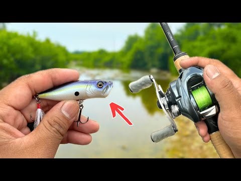 BFS popper topwater lure for creek smallmouth || MEGABASS pop X || BFS Fishing