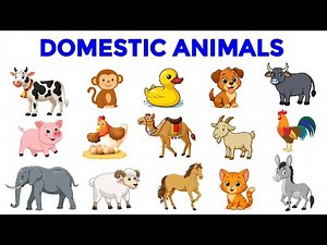 DOMESTIC ANIMALS | Domestic Animals in English | Educational Video for Kids, Toddlers, Kindergarten