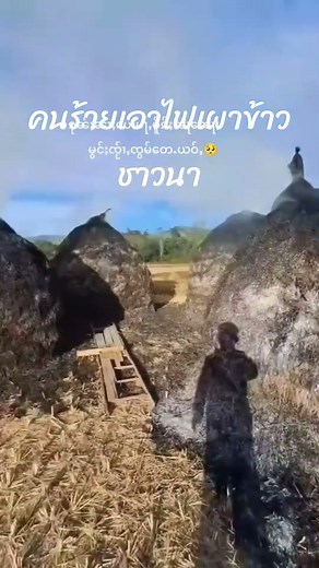 ข้าวของชาวนาถุกคนร้าเอาไฟเผาเสียหายทังหมด