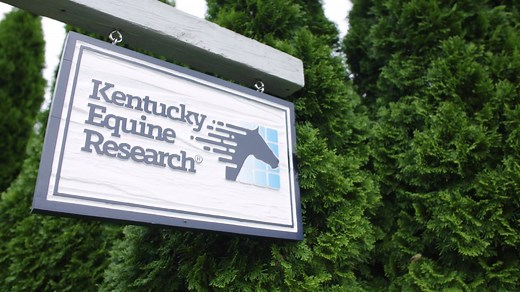 5.9K views · 44 reactions | Kentucky Equine Research applies the results of its research trials to create innovative supplements, validate unique feed ingredients, and optimize partner feeds. Learn more: https://ker.com/ | Kentucky Equine Research | Facebook
