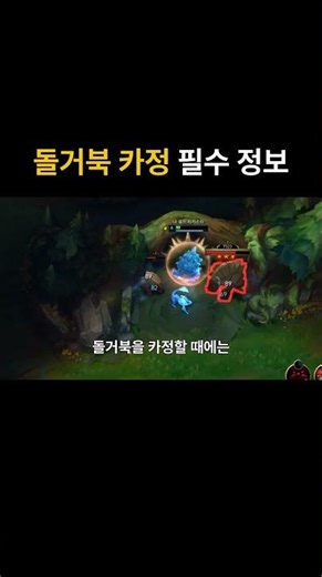 카정 할 때 꼭 알아야하는 팁 #정글 #정글러 #정글강의