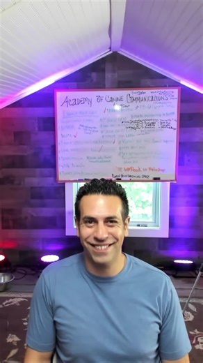 Level up dog training! Basic obedience is just the start. Unlock service dog skills at any level. #DogTraining #ServiceDog #Obedience #DogSkills