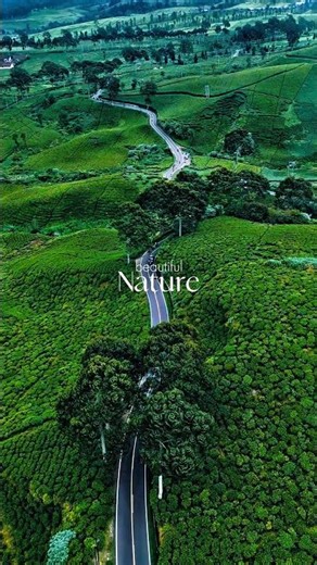 Nature Beauty - West Java - Indonesia #travel #airterjun #cinematic #fypシ゚viral