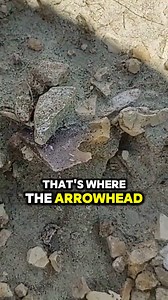 238K views · 5.4K reactions | Unbelievable Discovery – Arrowhead Still in the Bone! Forget fossils—this is next-level history! We just found a bison bone with the actual arrowhead still lodged in it. A true glimpse into the past, possibly thousands of years old. Insane! #ArtifactDiscovery #Bison #AncientWeapons | Smoky Mountain Relic Room | Facebook
