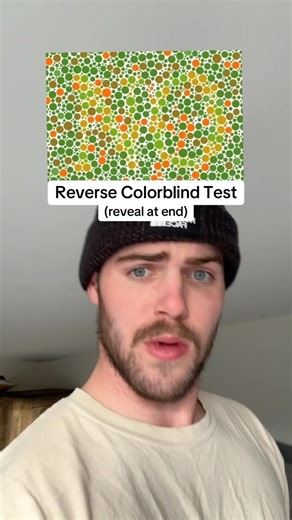 Sean | Reverse colorblind test! #color #protanopia #colorblindness #matching | Instagram