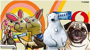 From a rabbit selling ‘papad’ to a pug for phone network, these 'warm' ads brought us closer