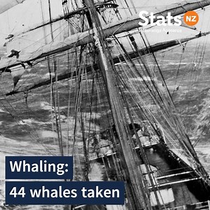 Happy World Statistics Day! 100 years ago we measured things like whaling and drunkenness. Today, we measure the number of te reo speakers, food prices, wellbeing and more... | Stats NZ