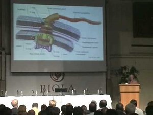 Molecular Machines and the Death of Darwinism