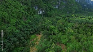 Drone fly over tropical forests, mountains on the sides. abundance of nature Many palm trees. Stream. Flash flood in a stream in the forest. 4k