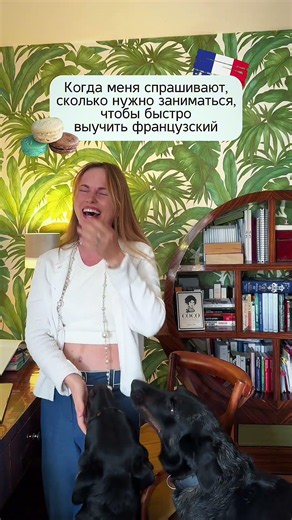 Что надо сделать, чтобы быстро выучить французский?