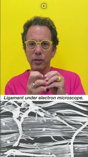 What do the ligaments do? #prolotherapy #ligamentlaxity #ligament #regenerativemedicine
