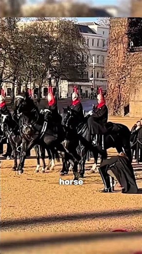 Royal Guard Thrown Off Horse… What He Did Next Was Brave