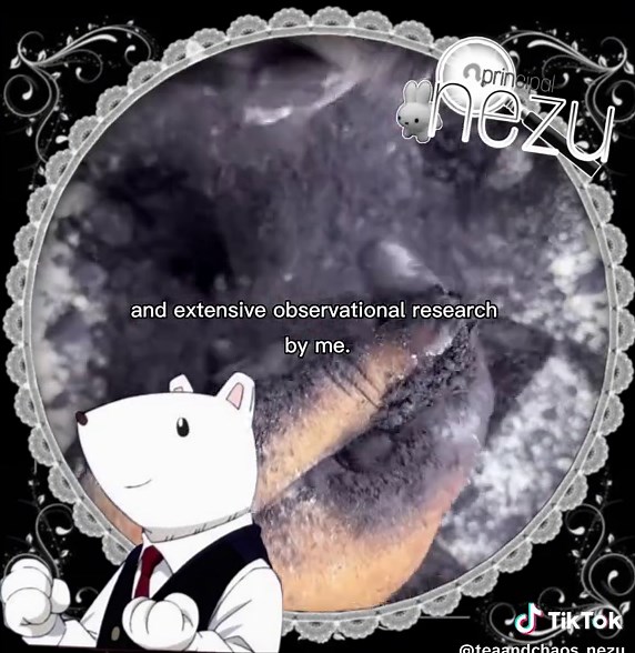 We are conducting a full investigation #principalnezu #ua | principal