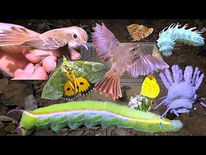 Unexpected Creatures in the Dark! Night Forest Exploration