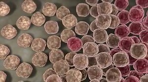 51K views · 104 reactions | What is blood cancer? Every 35 seconds...
