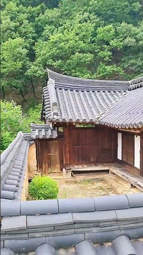 #포항가볼만한곳 #분옥정 #포항숨은명소 #고택 #여름여행지