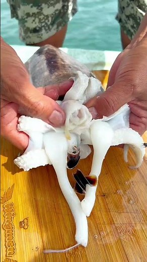 How to Remove the Beak & Bone 🦑