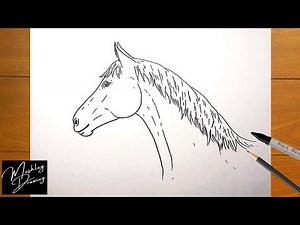 How to Draw a Horse Head Easy