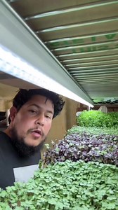 Back Yard Farming is cool again 😎 | Josh Schaver