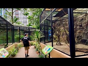 Parrot Paradise Full Tour - Jurong Bird Park Singapore