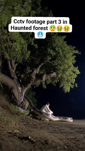 73K views · 447 reactions | Cctv footage part 3 in Haunted forest 濫略略略 #CCTVFootage #viral #horror | Haunted History | Facebook