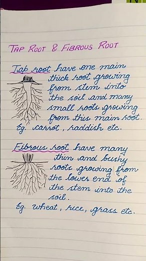 tap roots and fibrous roots/ different types of roots