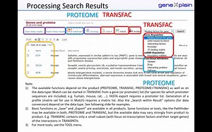 TRANSFAC 工具包的应用示例 -- 数据库检索